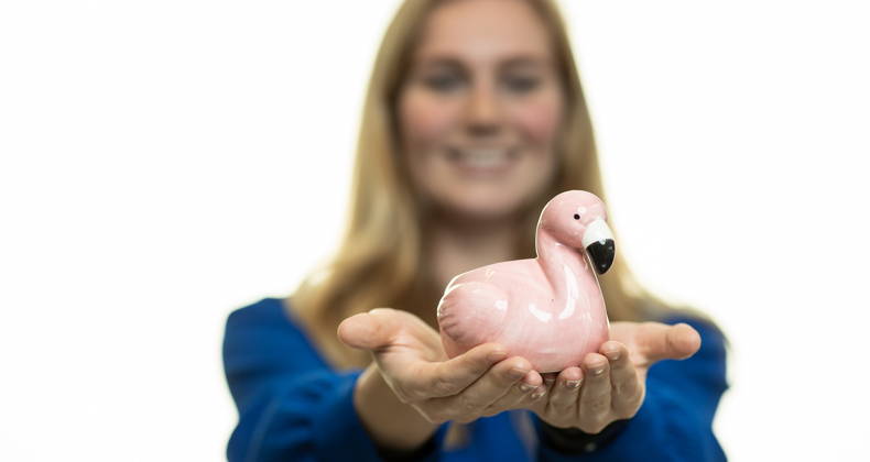 De verborgen meerderheid